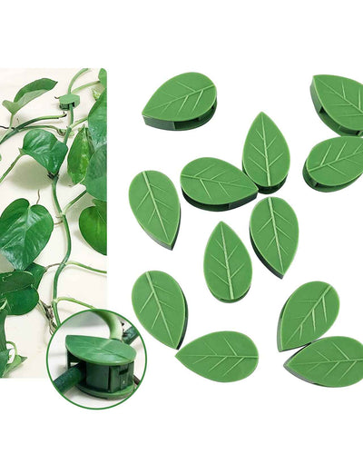 Plant Fixture Clip