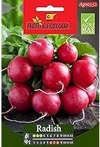 Ravanello Saxa 2 Mega Pack - Souq Garden