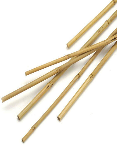 Bamboo Cane Plant Support Garden Stick - Souq Garden