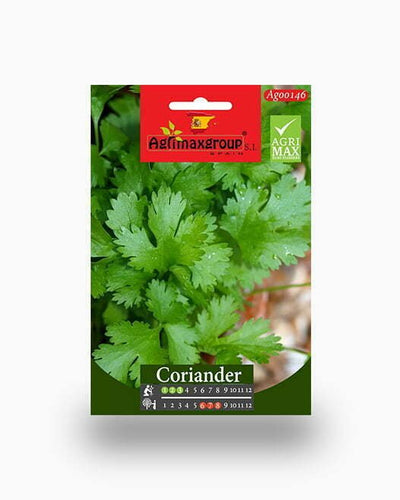 Coriander Agrimax Seeds - Souq Garden