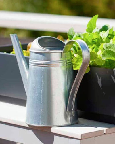 Galvo Watering Can