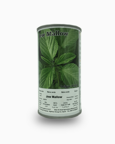 Jew Mallow Seeds Tin – Souq Garden Dubai