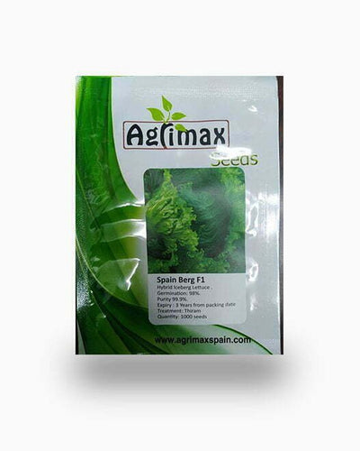 Lettuce Iceberg F1 Premium Seeds - Souq Garden
