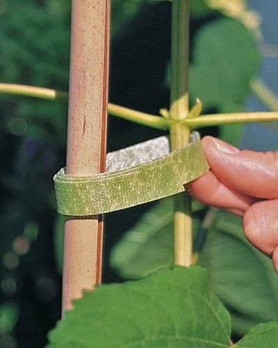 Velcro Plant Tie - 2 m