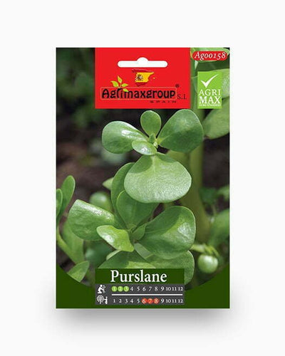 Purslane Agrimax Seeds - Souq Garden