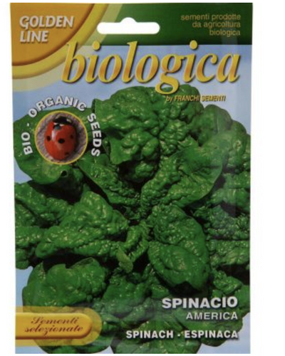 Spinach Spinacio America organic seed packet