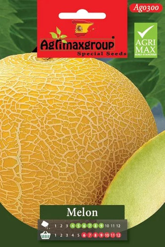Melon Melone Retato Degli Ortolani Organic Seeds By Franchi - Souq Garden