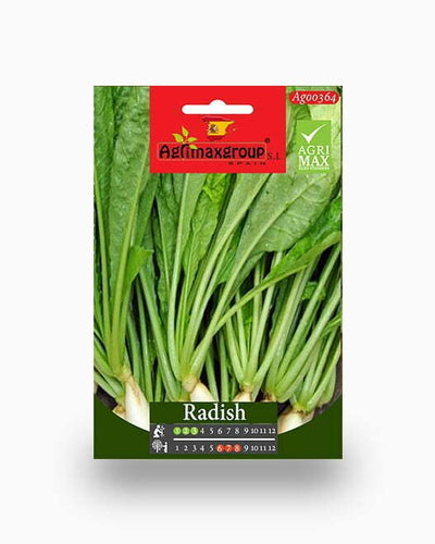 Ravanello Saxa Radish Seeds - Souq Garden