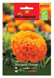 Tagete Nano Doppio Arancio - Souq Garden