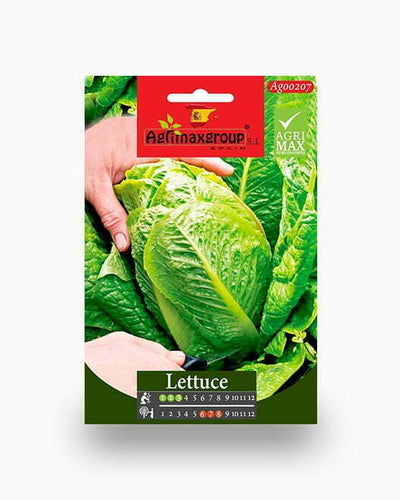 Lettuce Agrimax seed packet