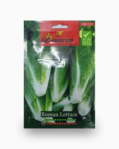Roman Lettuce Agrimax Seeds - Souq Garden