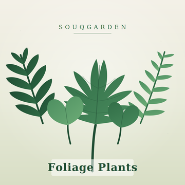 Foliage Plants (Non-Flowering) Outdoor