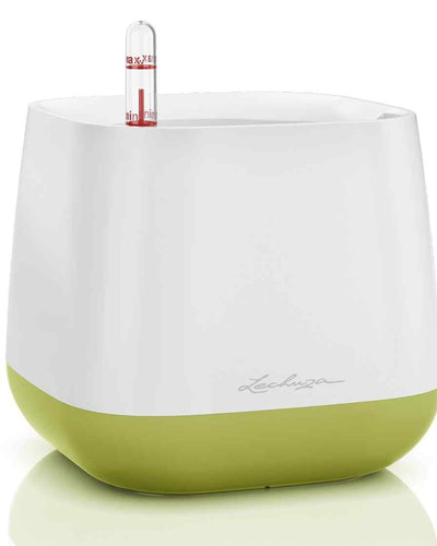 Lechuza Yula Square – Lime Green