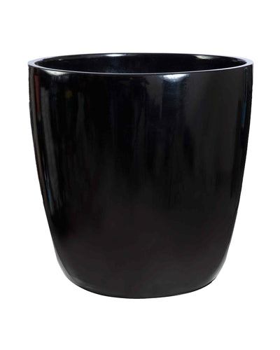 Clado – Classic