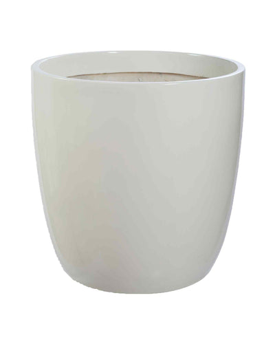 Clado – Classic