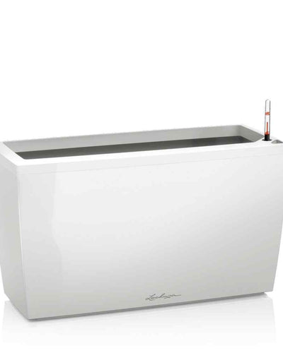 Lechuza Cararo 75 – White