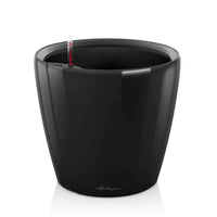 Lechuza Classico 21 – Black