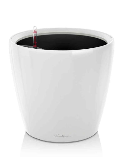 Lechuza Classico 43 – White