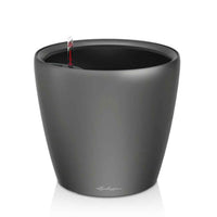 Lechuza Classico 43 – Charcoal