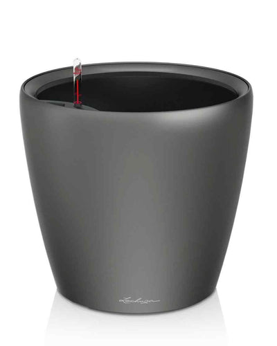 Lechuza Classico 43 – Charcoal