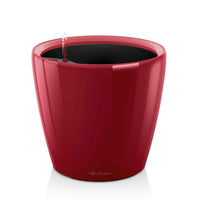 Lechuza Classico 21 – Red