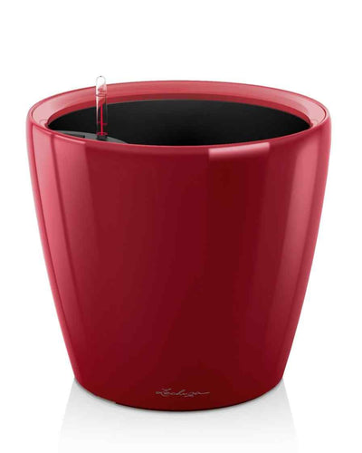Lechuza Classico 21 – Red
