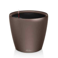Lechuza Classico 21 – Expresso