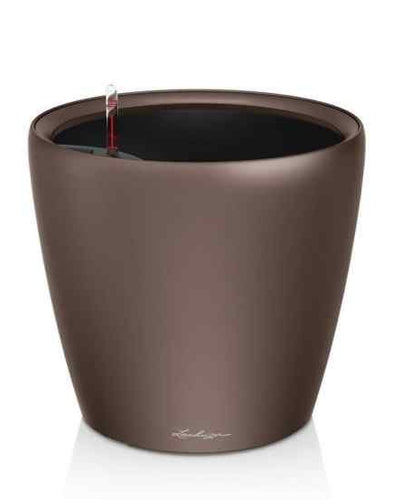 Lechuza Classico 21 – Expresso