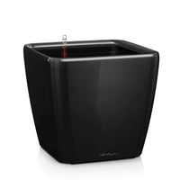 Lechuza Quadro 35 – Black
