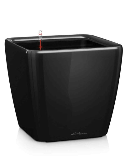 Lechuza Quadro 35 – Black