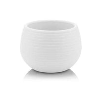 Serinova ES – White