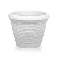 Serinova HS – White
