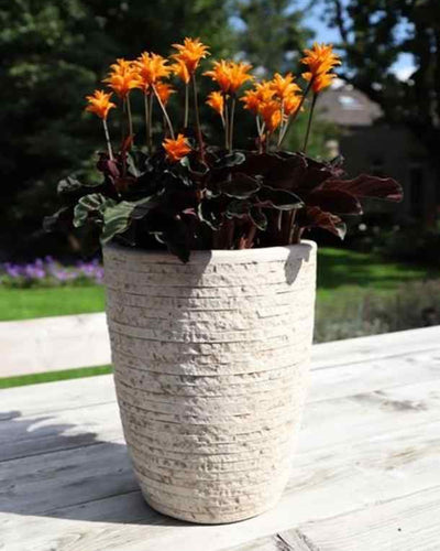 GRC Utah High Vase