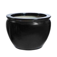 Clado – Fish Bowl