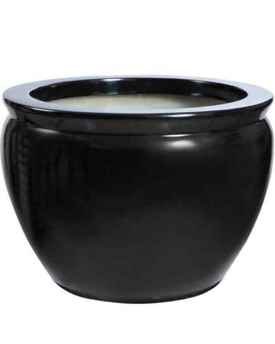 Clado – Fish Bowl