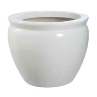 Clado – Fish Bowl – White