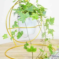 Ring Stand