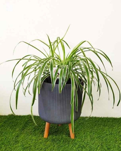 Legged Pot – Grey Stripe
