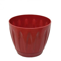 Serinova – Red