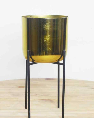 Gold Parel – Half