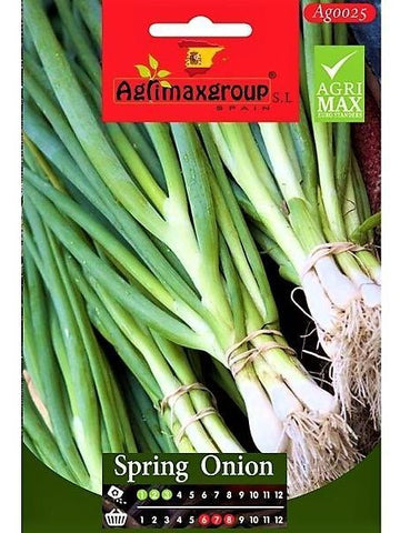 Cipolla White Lisbon Seeds