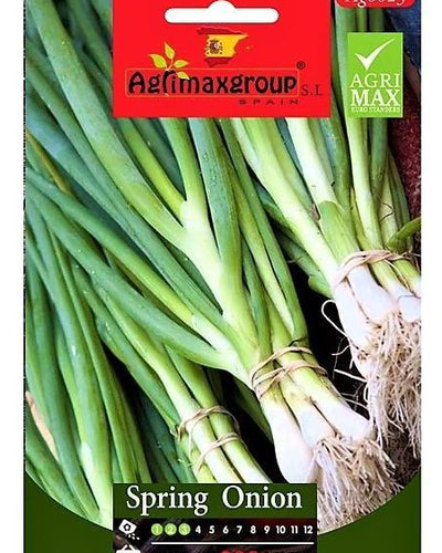 Cipolla White Lisbon Seeds – Souq Garden Dubai