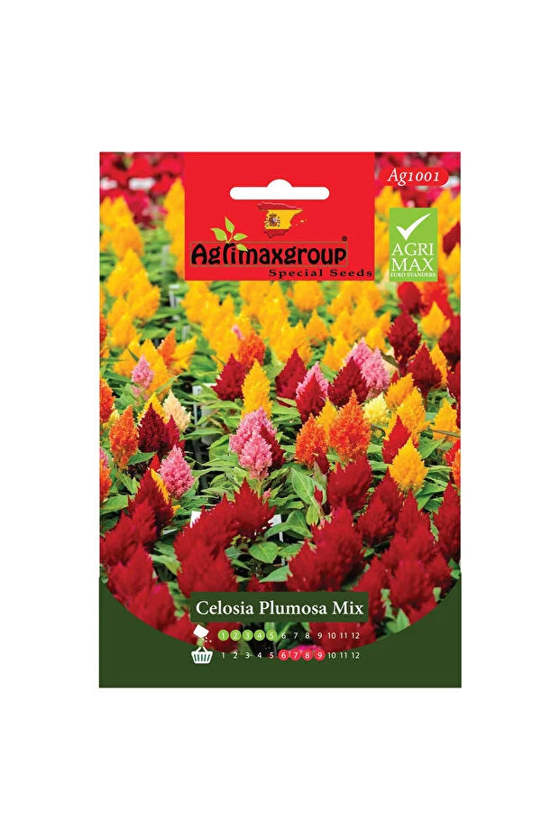Celosia seeds