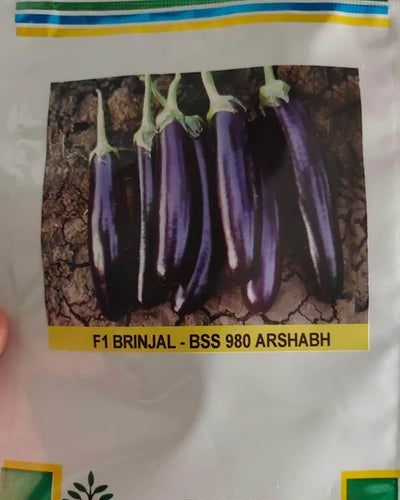 Long Black Eggplant Agrimax Seeds