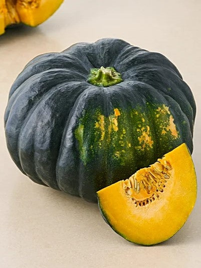 Pumpkin Plant