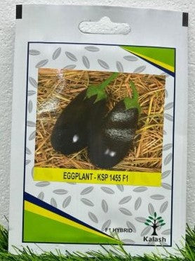 Black Eggplant Agrimax Seeds