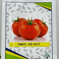 F1 Pomodoro Montecarlo Tomato Seeds