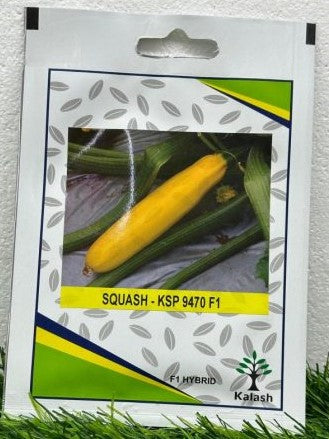 F1 Zucchini Greyzini Seeds
