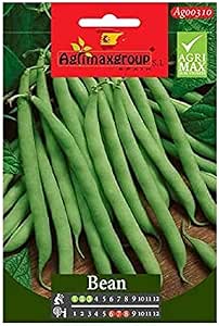 Bean Perolar – 60g