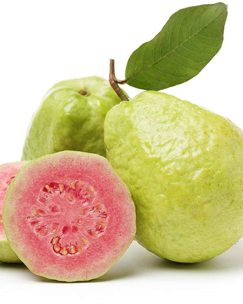 Red Guava